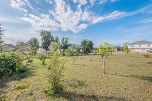 195 AUREILA CT, KISSIMMEE, FL 34758 - MLS#MFRS5141813