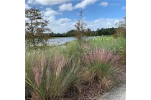 14279 SWANLEY STREET, ORLANDO, FL 32832 - MLS#MFRS5141846