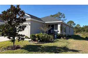 1337 CASCADE DRIVE, DAVENPORT, FL 33837 - MLS#MFRS5141969