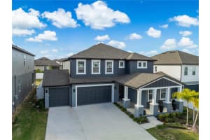 2197 GOLD DUST DRIVE, MINNEOLA, FL 34715 - MLS#MFRS5142067