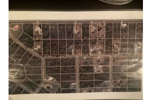 OAKLEAF ST, ORLANDO, FL 32833 - MLS#MFRS5142328