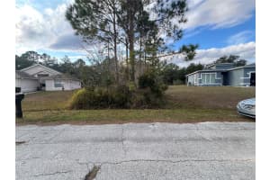 1425 TEAL DRIVE, KISSIMMEE, FL 34759 - MLS#MFRS5142336