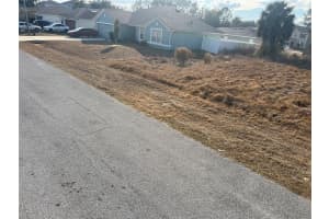 1608 REDFIN DRIVE, KISSIMMEE, FL 34759 - MLS#MFRS5142337