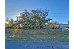 1402 SEBRING COURT, KISSIMMEE, FL 34759 - MLS#MFRS5142414