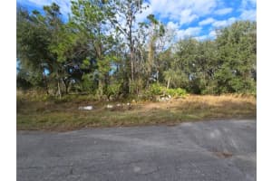 211 STARLING COURT, KISSIMMEE, FL 34759 - MLS#MFRS5142437