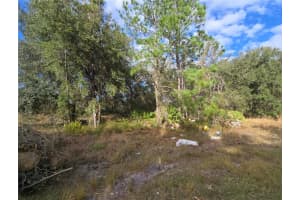 211 STARLING COURT, KISSIMMEE, FL 34759 - MLS#MFRS5142437