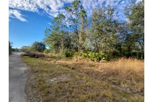 211 STARLING COURT, KISSIMMEE, FL 34759 - MLS#MFRS5142437