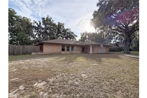 209 FIRST STREET, TAVARES, FL 32778 - MLS#MFRS5142540