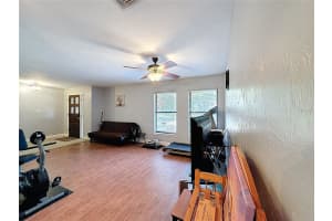 209 FIRST STREET, TAVARES, FL 32778 - MLS#MFRS5142540