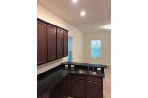 14531 CRESTED PLUME DRIVE, WINTER GARDEN, FL 34787 - MLS#MFRS5142754