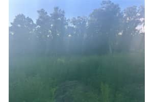 3528 NIEMAN DRIVE, DUNNELLON, FL 34433 - MLS#MFRS5142811