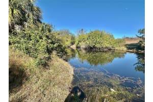 12406 COBBLE STONE DRIVE, HUDSON, FL 34667 - MLS#MFRS5142831