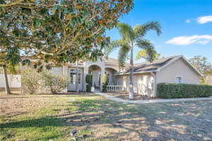 10003 COUNTRY CARRIAGE CIRCLE, RIVERVIEW, FL 33569 - MLS#MFRS5142888