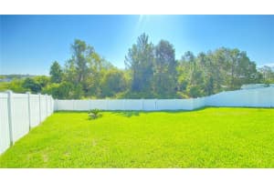 4036 FESCUE STREET, CLERMONT, FL 34714 - MLS#MFRS5142953