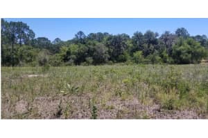 316 BASS LANE, KISSIMMEE, FL 34759 - MLS#MFRS5143130