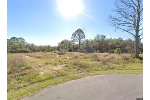 316 BASS LANE, KISSIMMEE, FL 34759 - MLS#MFRS5143130