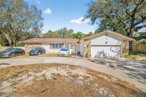 4121 White Heron Dr, ORLANDO 4121 White Heron Dr, ORLANDO
