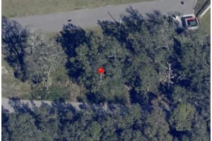 BARN ST, KISSIMMEE, FL 34744 - MLS#MFRS5143269