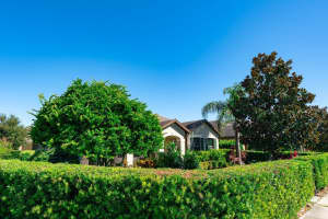 13243 OVERSTREET ROAD, WINDERMERE, FL 34786 - MLS#MFRS5143317