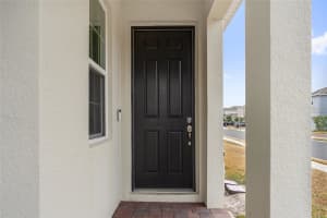 1686 SWAN SWIM DRIVE, DAVENPORT, FL 33837 - MLS#MFRS5143477