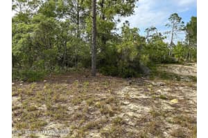 2923 PINTADO DRIVE, CITRUS SPRINGS, FL 34433 - MLS#MFRS5143484