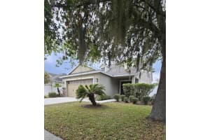 32643 COLDWATER CREEK LOOP, WESLEY CHAPEL, FL 33545 - MLS#MFRS5143583