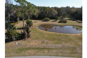 3672 HIDDEN RIVER LANE, TAVARES, FL 32778 - MLS#MFRS5143673