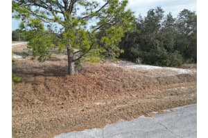 1319 HILLSBOROUGH LANE, KISSIMMEE, FL 34759 - MLS#MFRS5143682