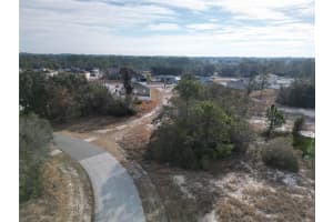 1319 HILLSBOROUGH LANE, KISSIMMEE, FL 34759 - MLS#MFRS5143682