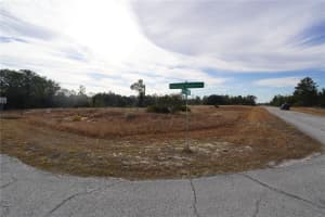 1319 HILLSBOROUGH LANE, KISSIMMEE, FL 34759 - MLS#MFRS5143682