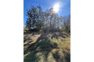 CAMBOURNE DR, KISSIMMEE, FL 34758 - MLS#MFRS5143685