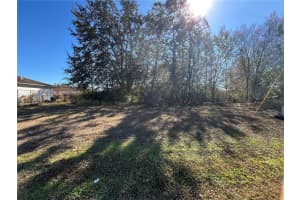 CAMBOURNE DR, KISSIMMEE, FL 34758 - MLS#MFRS5143685