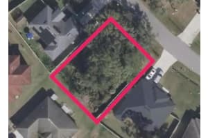 428 CARDINAL COURT, KISSIMMEE, FL 34759 - MLS#MFRS5143784