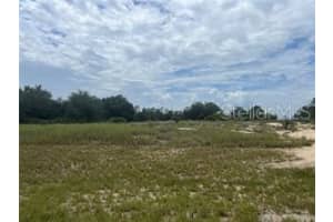 1322 HILLSBOROUGH DRIVE, KISSIMMEE, FL 34759 - MLS#MFRS5143866