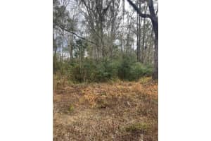 WARD AVE, BROOKSVILLE, FL 34601 - MLS#MFRS5143895