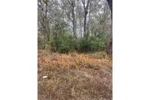 WARD AVE, BROOKSVILLE, FL 34601 - MLS#MFRS5143895