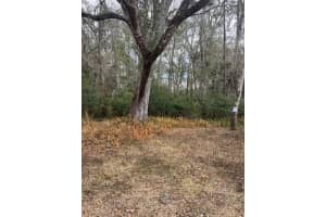 WARD AVE, BROOKSVILLE, FL 34601 - MLS#MFRS5143895