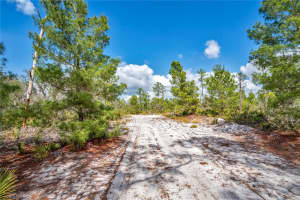 4000 LOMONICO ROAD, SEBRING, FL 33875 - MLS#MFRS5144050