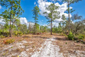 4000 LOMONICO ROAD, SEBRING, FL 33875 - MLS#MFRS5144050