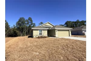 910 HUDSON VALLEY DRIVE, KISSIMMEE, FL 34759 - MLS#MFRS5144081