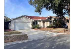 9224 SUNFLOWER DR, TAMPA, FL 33647 - MLS#MFRS5144366