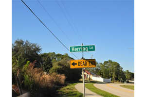 103 HERRING LANE, KISSIMMEE, FL 34759 - MLS#MFRS5144489