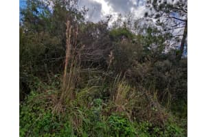 646 REINDEER DRIVE, KISSIMMEE, FL 34759 - MLS#MFRS5144555