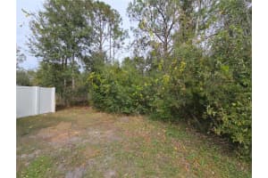 705 WOMBAT WAY, KISSIMMEE, FL 34759 - MLS#MFRS5144609