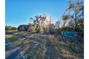 MLS# MFRS5144610, Kissimmee, Florida 34759