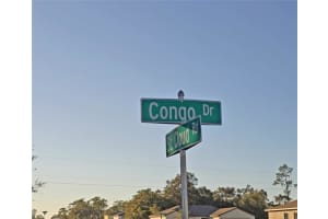 MLS# MFRS5144610, Kissimmee, Florida 34759