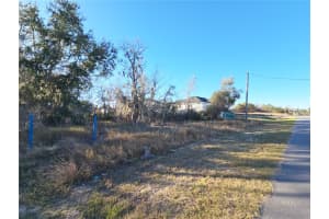 MLS# MFRS5144610, Kissimmee, Florida 34759