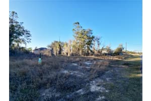 MLS# MFRS5144610, Kissimmee, Florida 34759