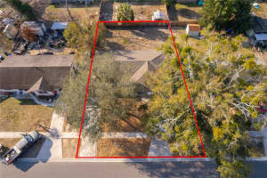 10 CELESTE STREET, APOPKA, FL 32703 - MLS#MFRS5144720