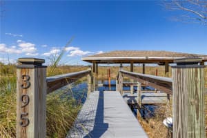 395 BLUE CYPRESS DRIVE, GROVELAND, FL 34736 - MLS#MFRS5144945